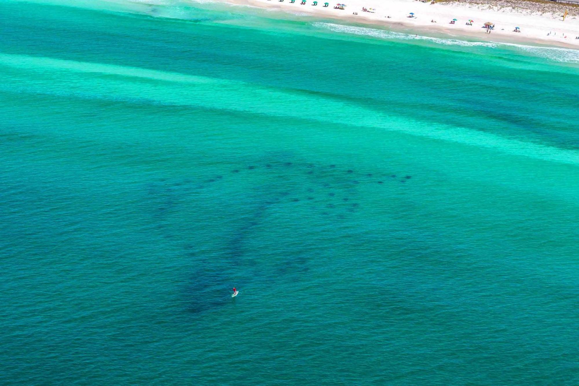 Ariel Dunes I 203 Διαμέρισμα Ντέστιν Εξωτερικό φωτογραφία